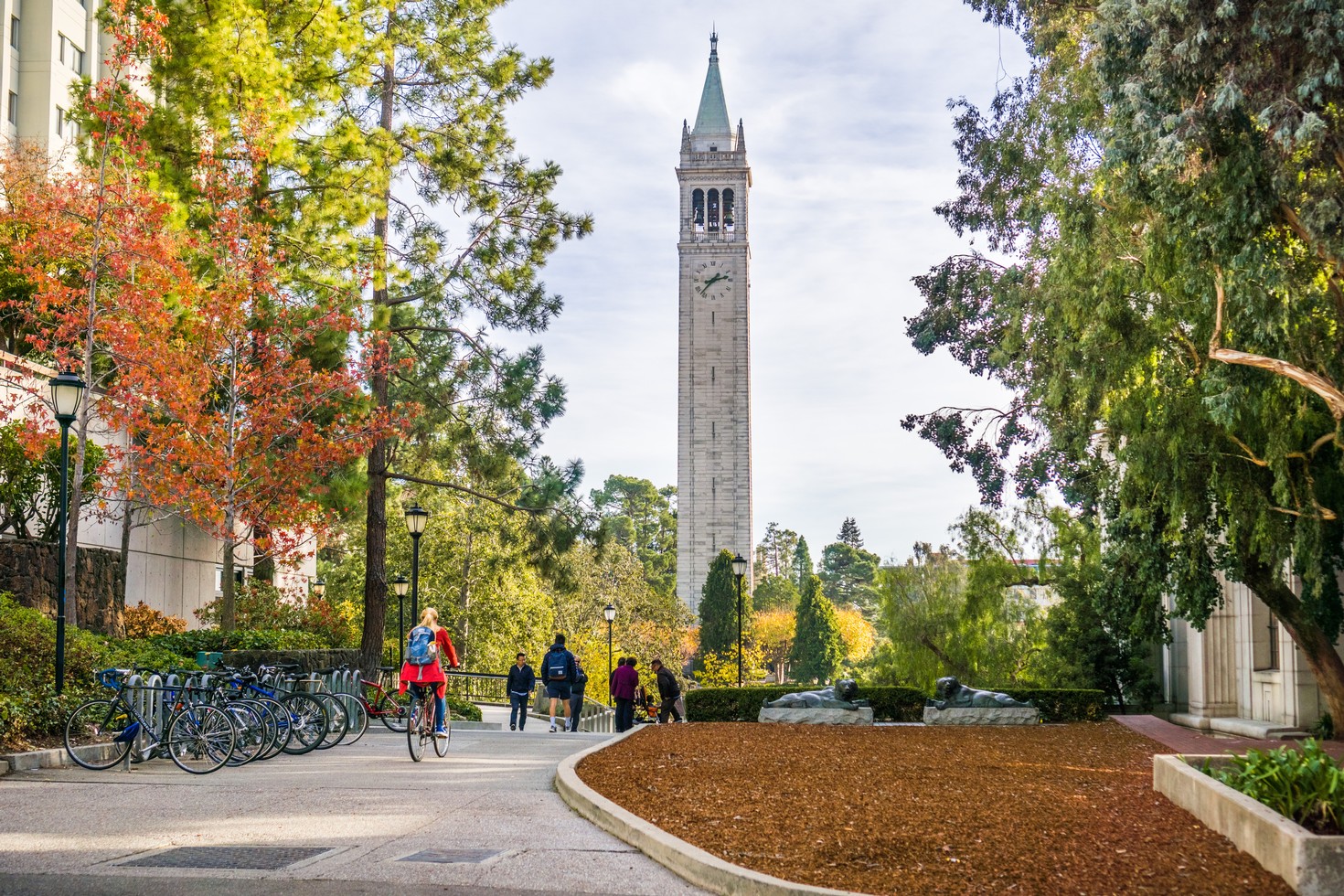 Partnership with UC Berkeley